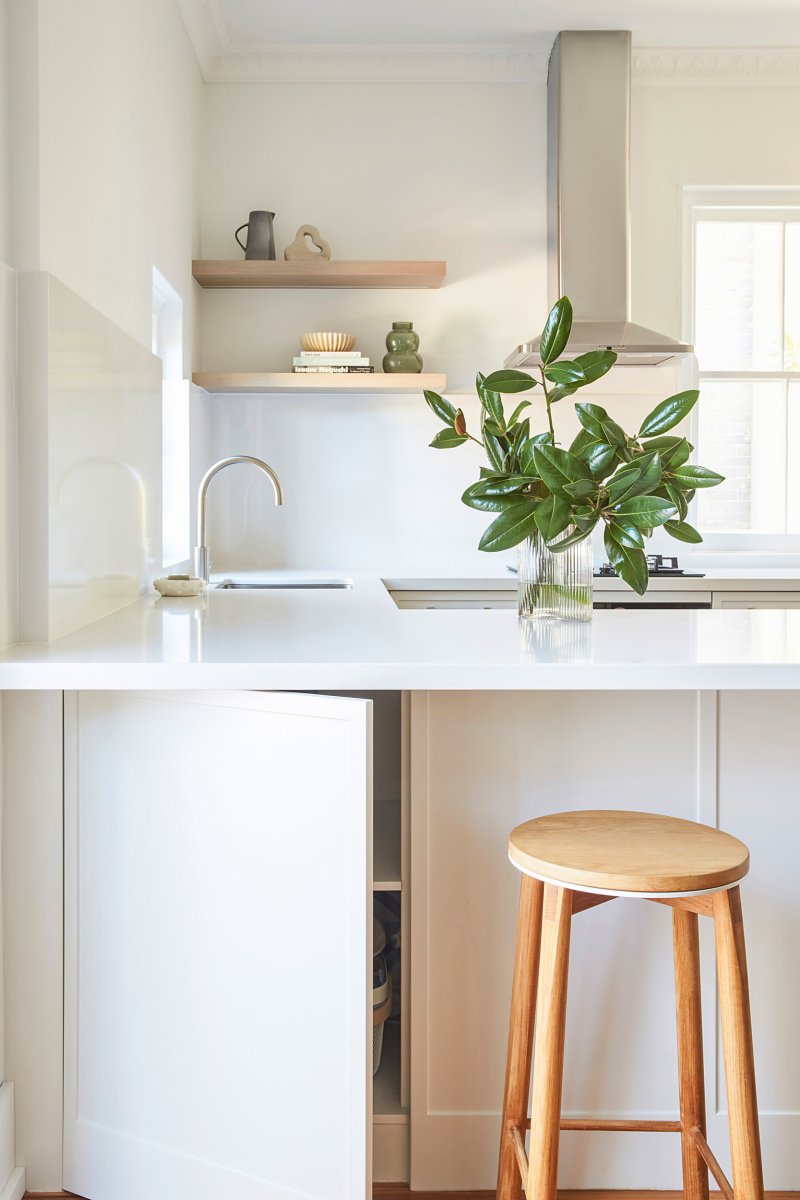 Kitchen Renovation Eastern Suburbs Sydney
